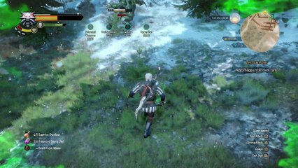 WITCHER 3 DEATH MARCH! WALKTHROUGH 288 - SIDEQUESTS & THE SUNSTONE