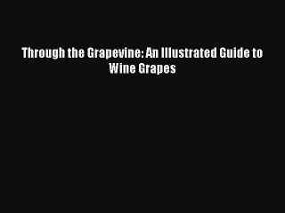 Read Through the Grapevine: An Illustrated Guide to Wine Grapes Ebook Free