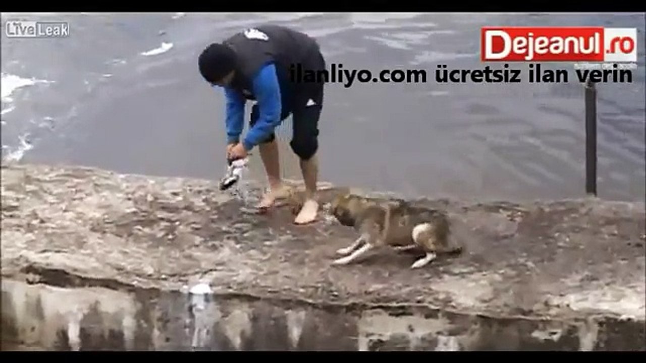 Kurtarılan Köpeğin Mutluluğu (İnsanlık İçerir)