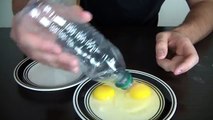 10 Amazing Science Experiments you can do with Eggs