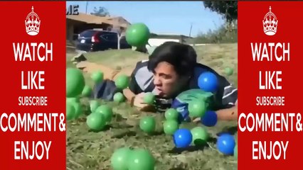 Best funny videos 2016 Try not to laugh Funny fails 2016 Funny dogs - Funny pranks [P.5]