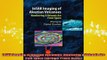 READ FREE FULL EBOOK DOWNLOAD  InSAR Imaging of Aleutian Volcanoes Monitoring a Volcanic Arc from Space Springer Praxis Full Free