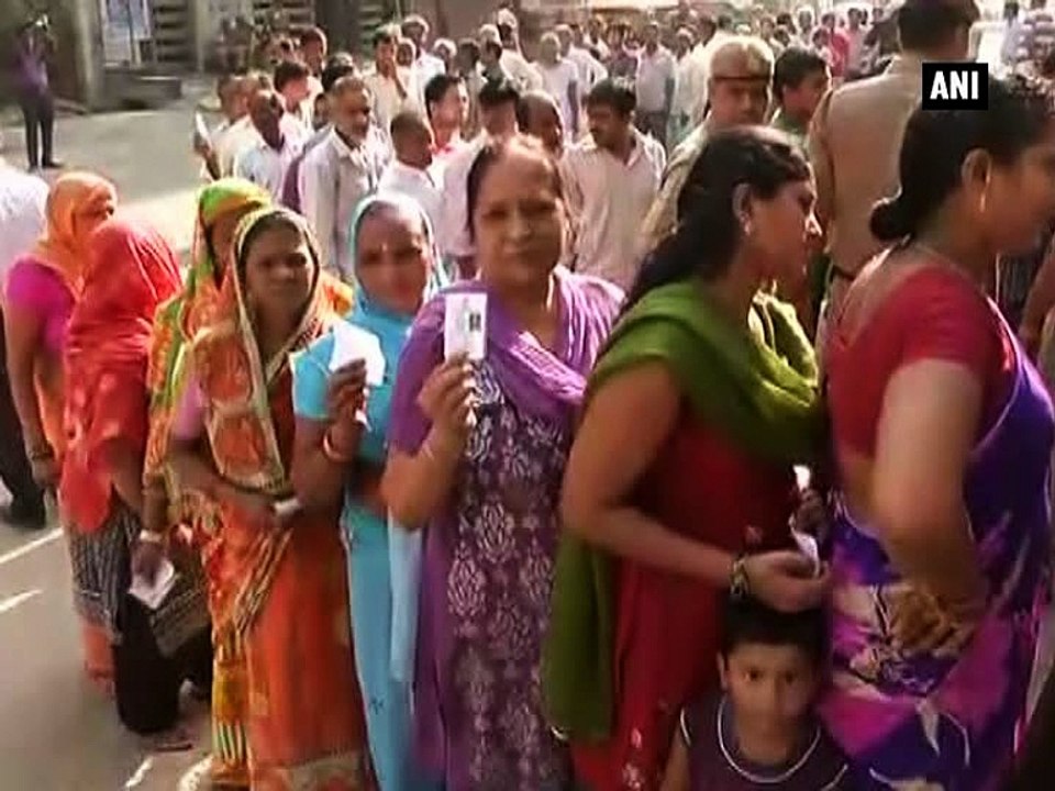 MCD Polls: Voting in 13 wards underway