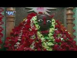 हमरो शीतली मईया - Ghare Aaili Sherawali | Arvind Akela “Kalluji”| Bhojpuri  Mata Bhajan 2015