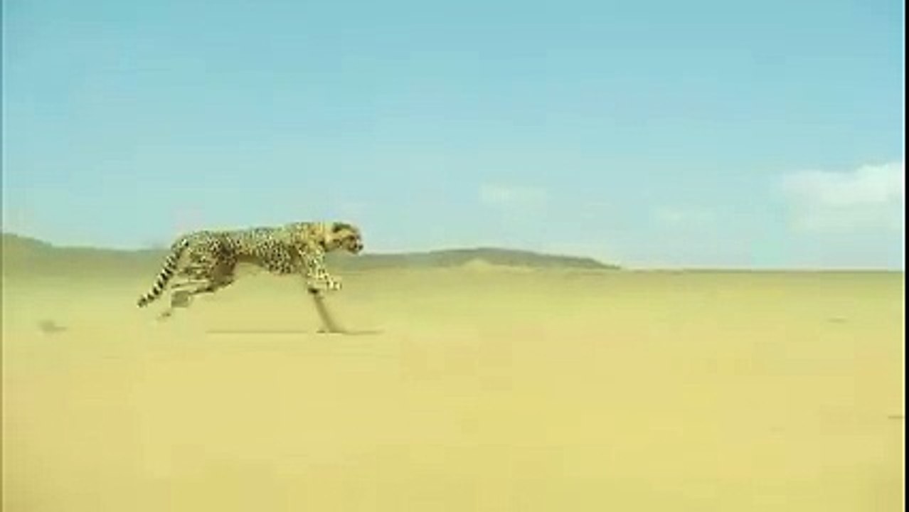 need for speed