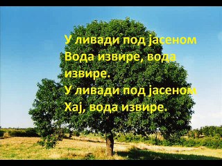 VASILIJA RADOJCIC- U LIVADI POD JASENOM VODA IZVIRE