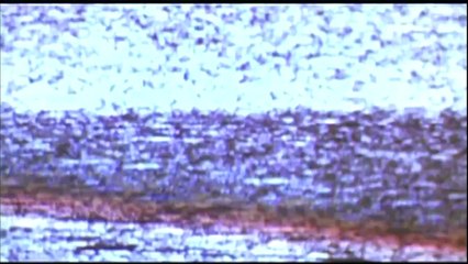 Tom Clancy's Splinter Cell  Double Agent   Trailer  (PS2 HD)