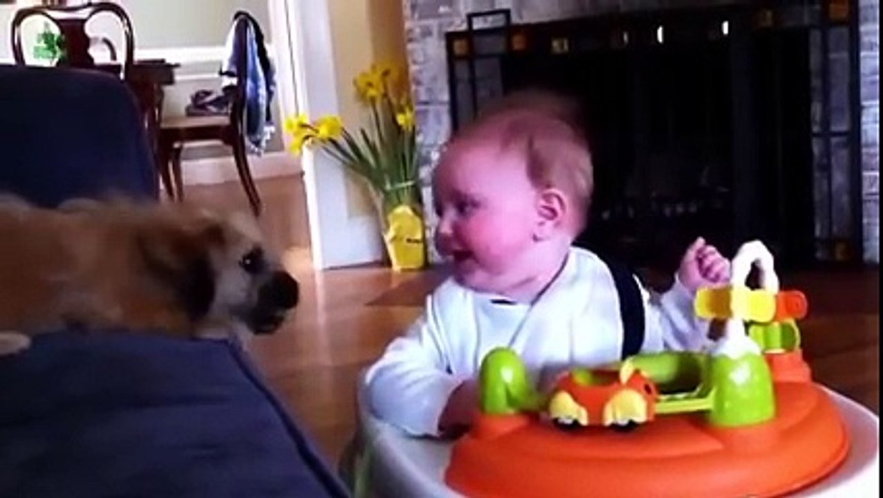 baby with dog