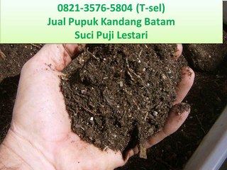 0821-3576-5804 (T-sel) Jual Pupuk Kandang Batam