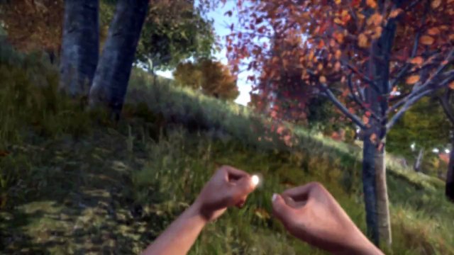 Day Z max settings on i5 4460 gtx 950 windows 10