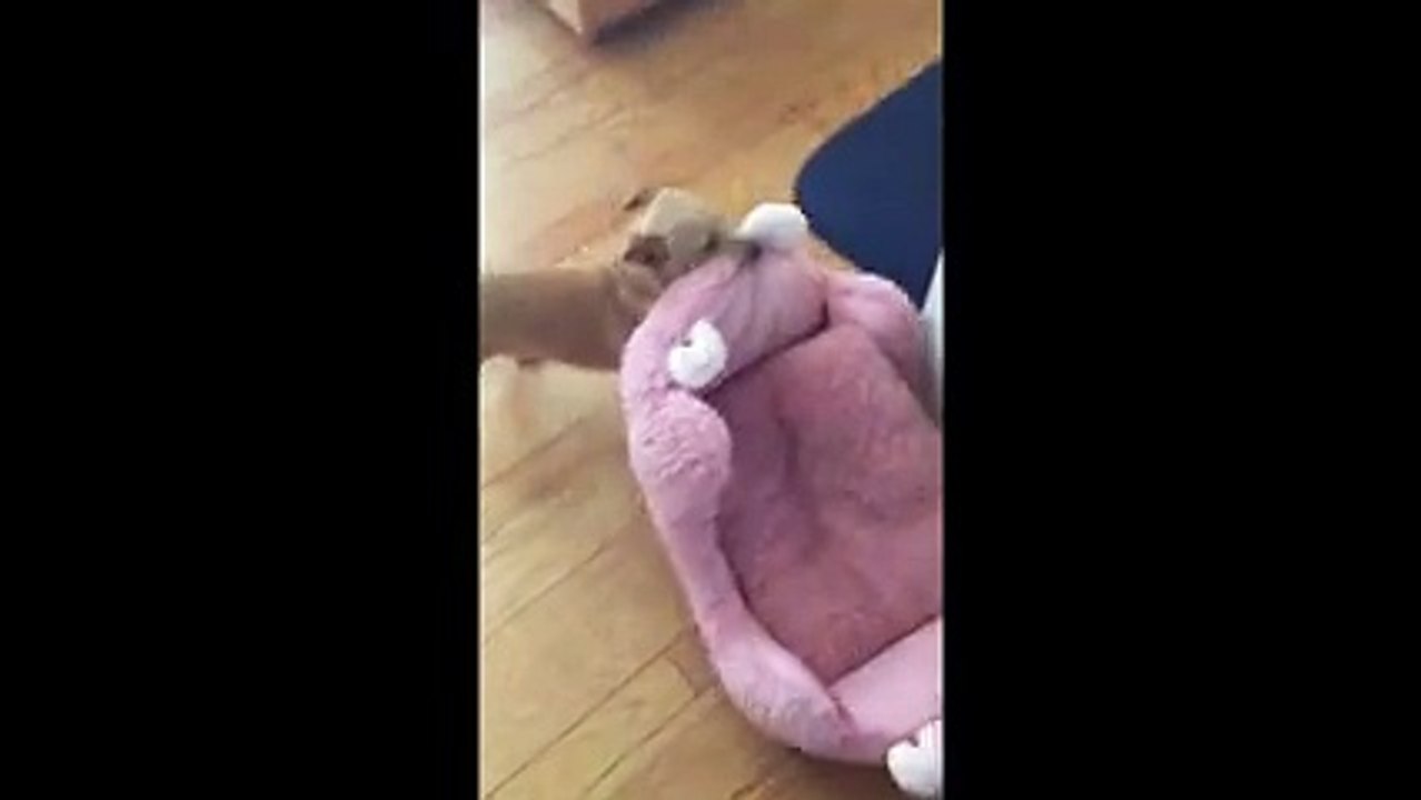 Quand t'as décidé de dormir dehors... Ahahah