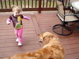 Almost-2-Year-Old (25 lbs) Chases Golden Retriever (87 lbs)
