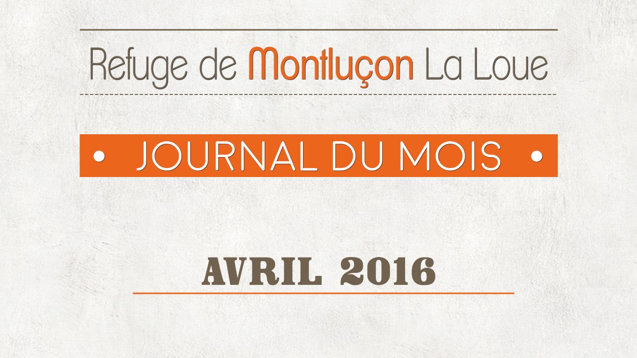 Un mois au refuge : avril 2016