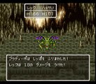 【SFC】 ドラゴンクエスト6 vs ブラディーポ / Dragon Quest VI vs Bloody Paw