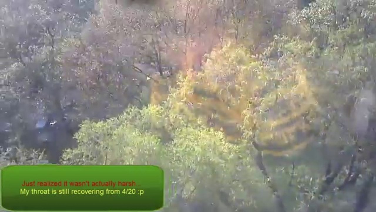 Gras online kaufen - Bubba Kush aus dem DarkNet - Anleitung