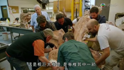 (2016)阿Sir之巨龍傳說(Attenborough and the Gi)