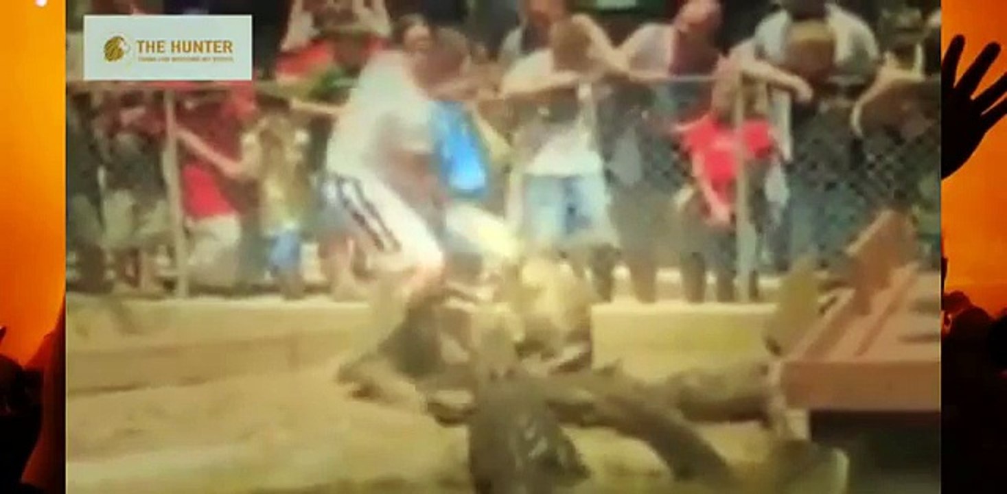 Biggest wild animal fights | Most Amazing Wild Animal Attacks #7 | When Animals Fight Back