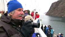 Polar Bears - Nunavut, Canada