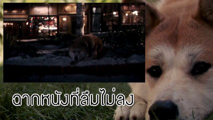 ฉากหนังที่ลืมไม่ลง #2 Hachi A Dog's Tale ฮาชิ หัวใจพูดได้ (2009)