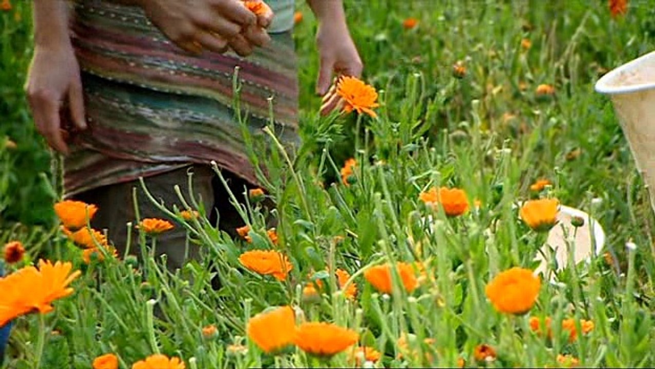 Grow.Your.Own.Drugs-S01E02