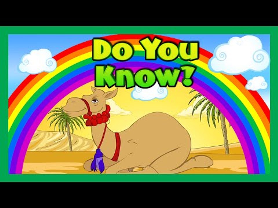DO YOU KNOW - Things To Know For Kids - Children Learning Video - KidsHome