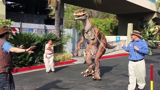 Universal Studios Hollywood | Liam and Taylor's Corner with Jurassic Park and Transformers