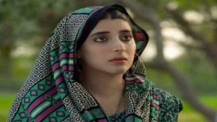 Udaari Episode 6 Full Hum TV Drama 15 May 2016