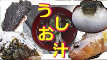 地磯で釣って捕ったのを潮汁にして食べる！　　Catch some fish and sea cucumber and cook them for seafood soup!