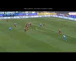 Goal Massimo Maccarone - Empoli 1-0 Torino (15.05.2016) Serie A