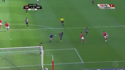 Awesome Nicolas Gaitan Goal HD - Benfica 1-0 Nacional - 15-05-2016