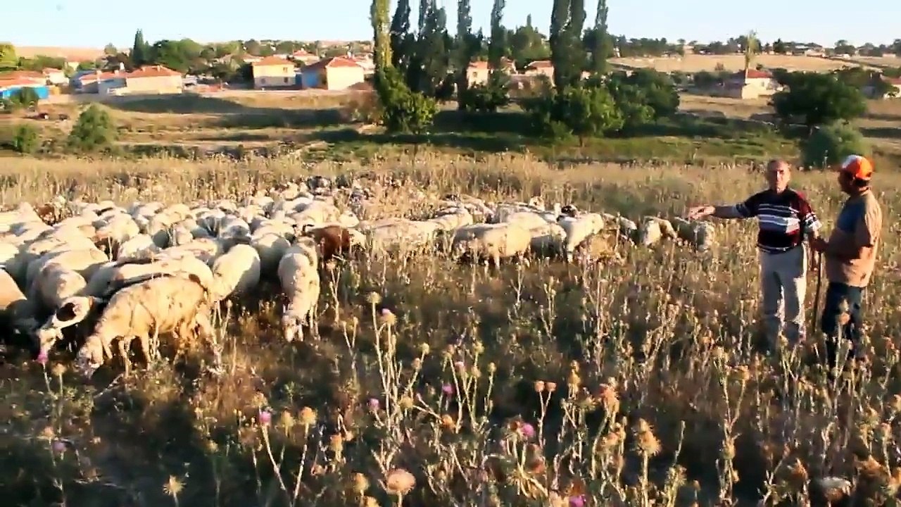 Antalyalı Şair Veli Tez-Çok Uzaklarda Bir Sevinç Köyü