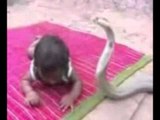 Unbelievable Baby Playing With Cobra-Funny Videos-Whatsapp Videos-Prank Videos-Funny Vines-Viral Video-Funny Fails-Funny Compilations-Just For Laughs