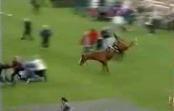 Horse Gone Mad In Public Funny Videos-Whatsapp Videos-Prank Videos-Funny Vines-Viral Video-Funny Fails-Funny Compilations-Just For Laughs