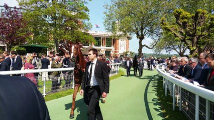 Présentation des poulains pour la Poule d'Essai du 15 mai 2016