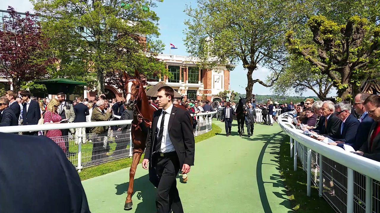 Présentation des poulains pour la Poule d'Essai du 15 mai 2016
