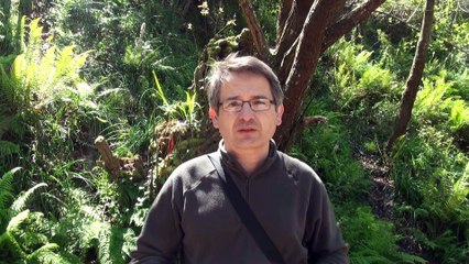 Escolleras de TARDASA del puerto de Avilés son ilegales según denuncia MAVEA