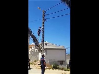 Sauvetage d'un chat en équilibre sur une ligne électrique... Risqué