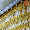 دیکھیں فیکٹری میں غبارے کیسے بنتے ہیں