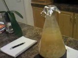Brew In A Bag 10:Yeast Starter/Pitching yeast