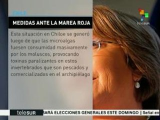 Chile: nombran a coordinador para atender emergencia en Chiloé