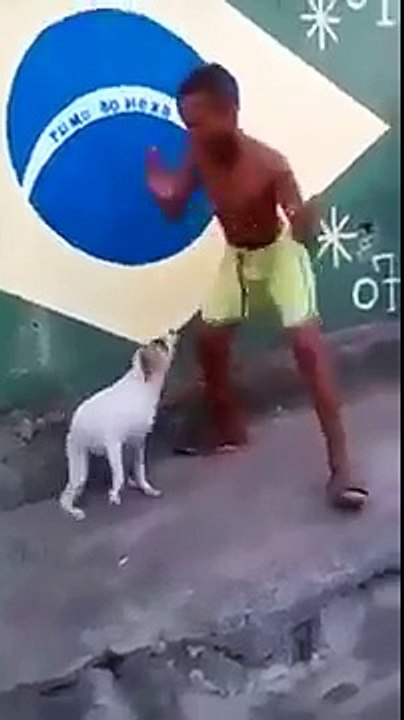 Boy and dog dancing (funny) in brazil on epic music...(edited)