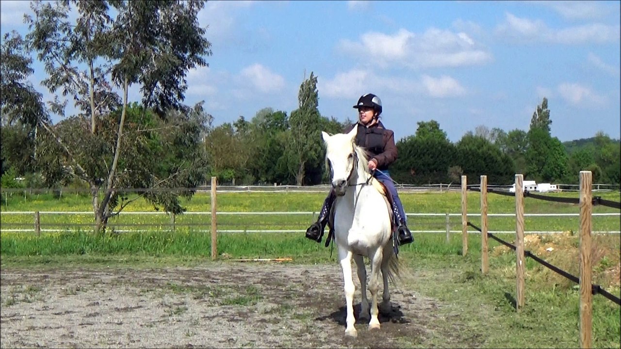 Douchka - volte au trot - 15 05 2016