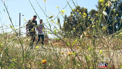 استقبال الجرحى السوريين ما بين المعاناة الإنسانية والدوافع الإسرائيلية