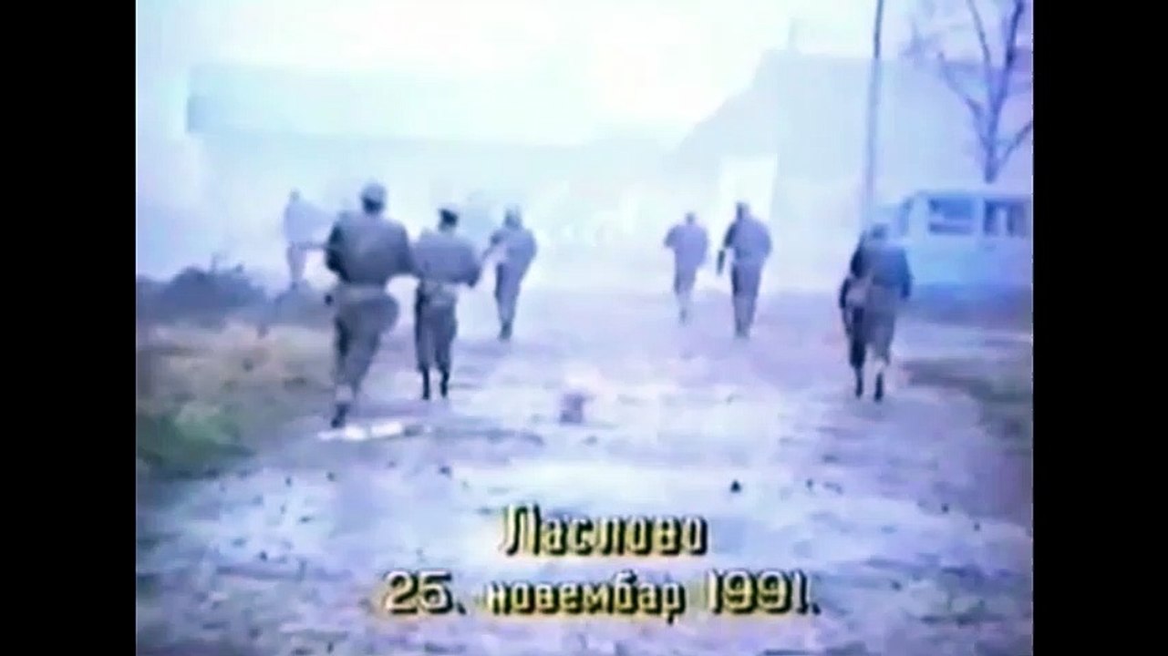 Arkan i SDG u Hrvatskoj i Bosni