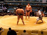 Sumo Match in Osaka Japan: video 1