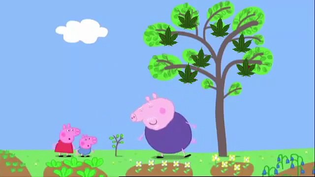 MLG Peppa Pig Plants Seeds