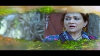 Udaari Episode 7 HD Promo Hum TV Drama 15 May 2016 HD