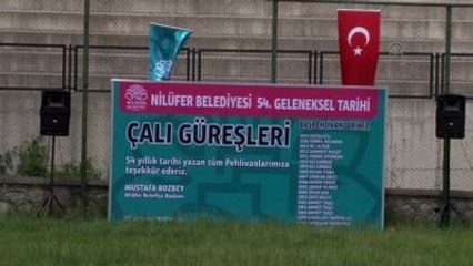 Geleneksel 54. Çalı Yağlı Güreşleri