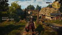 The Witcher 3  Wild Hunt Epic Bug