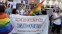 Día del Orgullo LGTB  en Valladolid (27/06/2014)